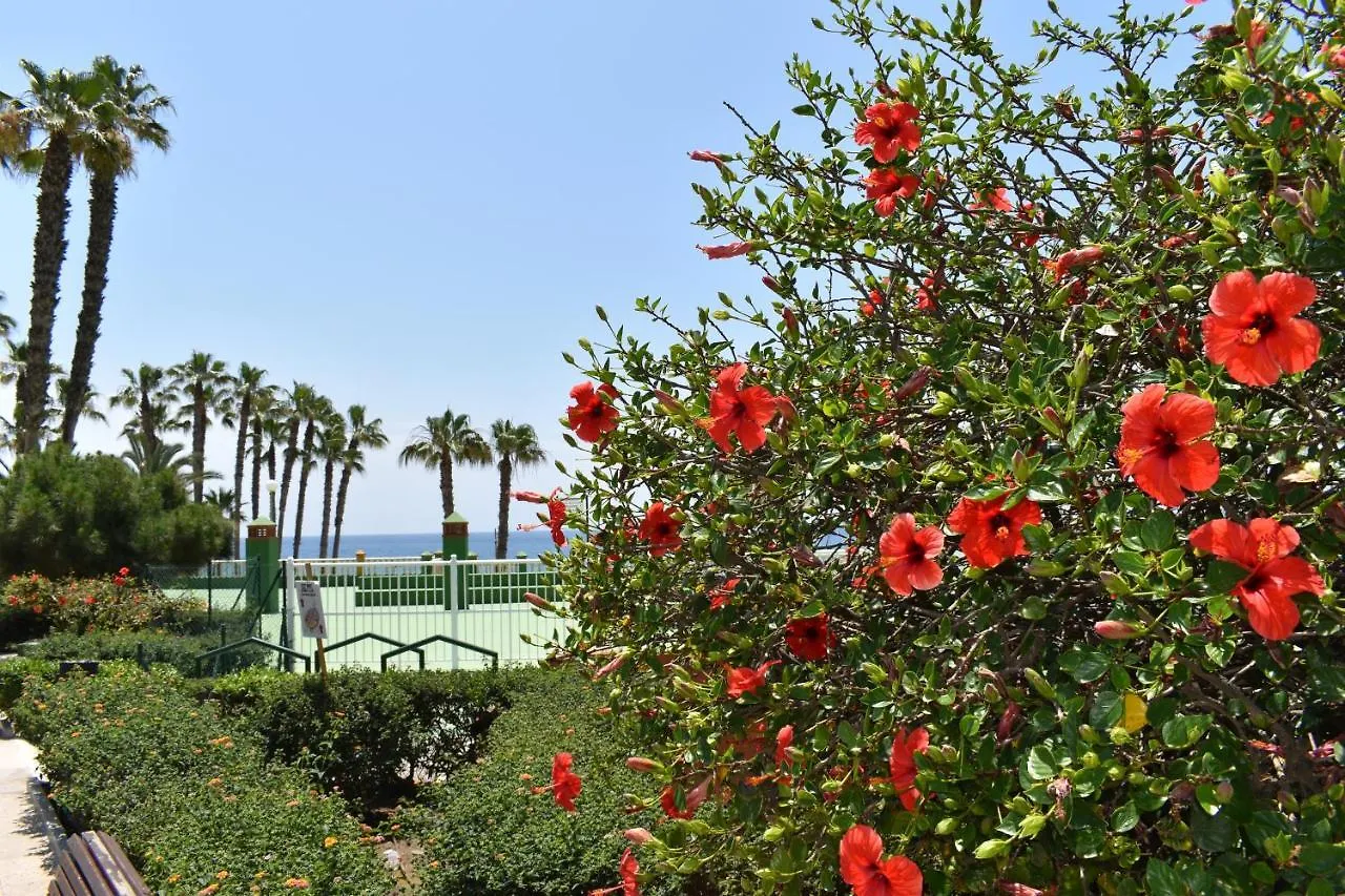 Apartamento Fantastic Studio - Beachfront Torrox 0*,  España